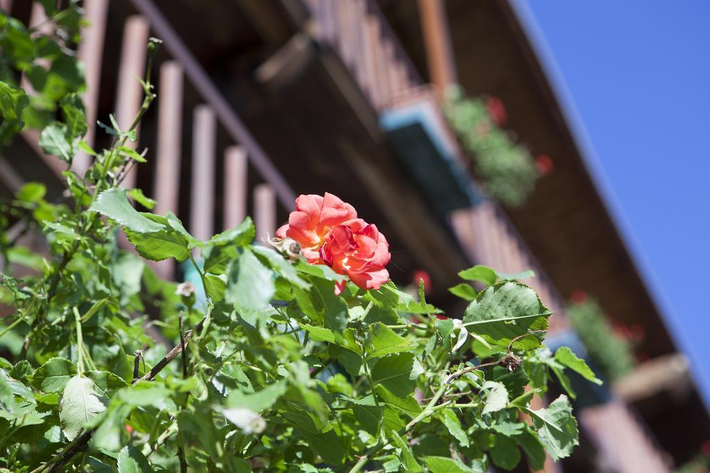 Le Rosier B&B E Appartamento Saint-Vincent Eksteriør billede